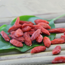 Nouveaux fruits biologiques frais de baie de GoJi de 2017 nouveaux